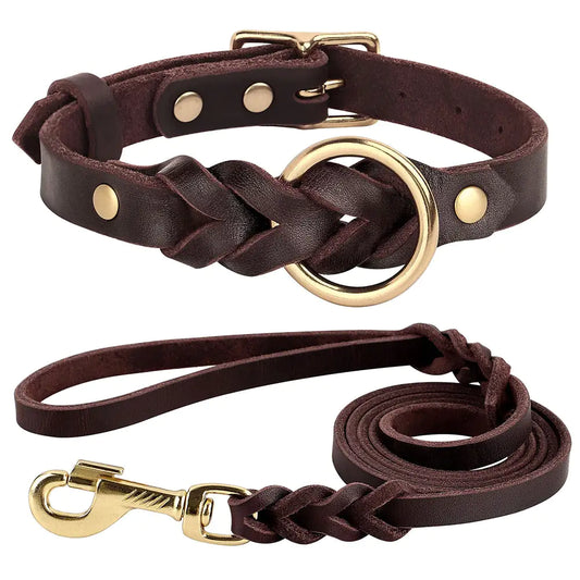 A brown leather dog collar and leash set with a braided design. The collar features a gold-colored metal ring and rivets, while the leash has a matching braided section and a gold-colored metal clasp. This set offers a stylish and durable option for pet owners.

